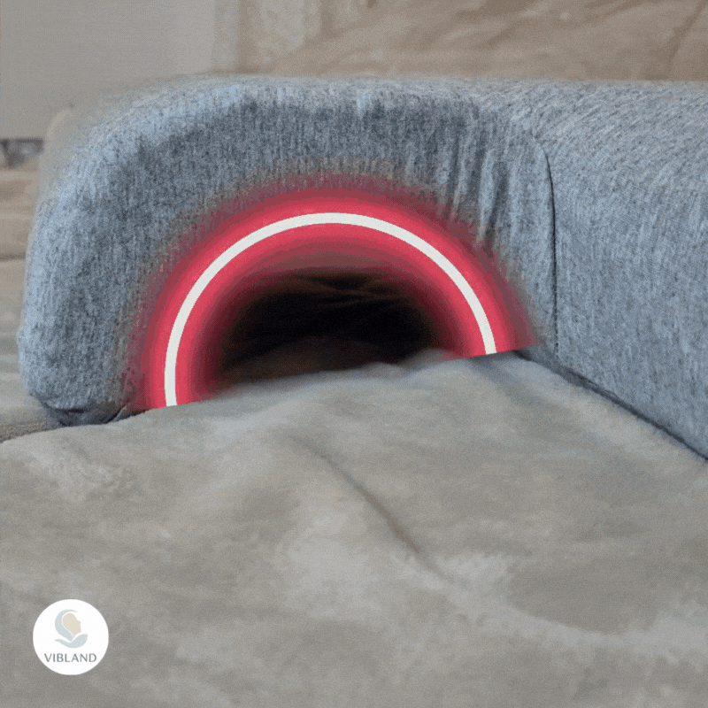 הדגמת מוצר 2