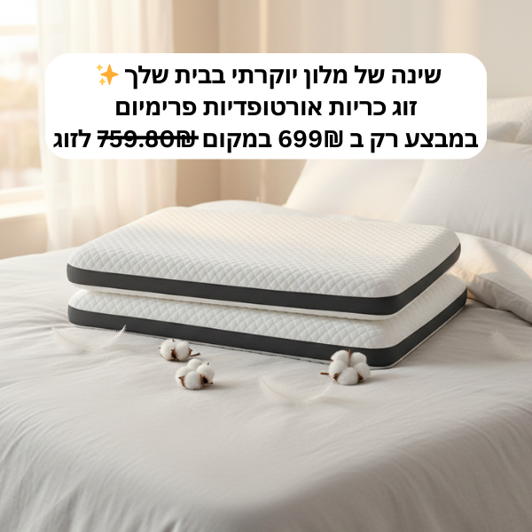 תיאור תמונת המודעה